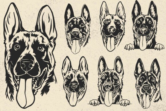Belgian Malinois Svg for Embroidery Projects