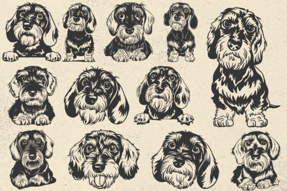 Wirehaired Dachshund Svg for Embroidery Projects